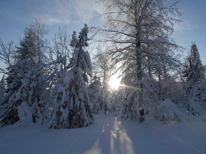 Автобус| Губерния зимой: в гостях у Нового года, огней и гостиной атмосферы