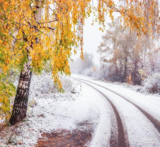 Новогодние каникулы в Лермонтовских местах 6 дней (промо)