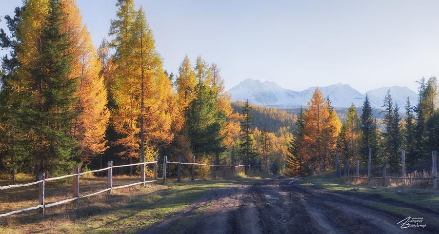 Колывань купеческая