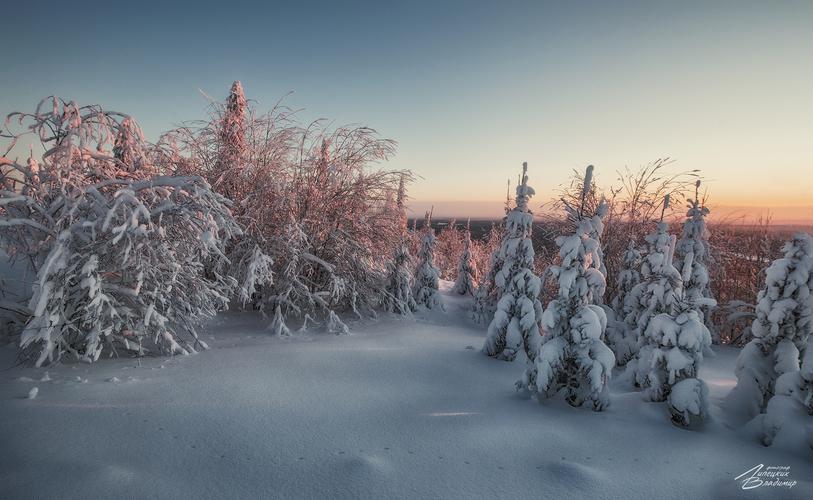 Автобус| Новый год в Минске: в гостях у белорусской зимы и гостеприимства из Твери