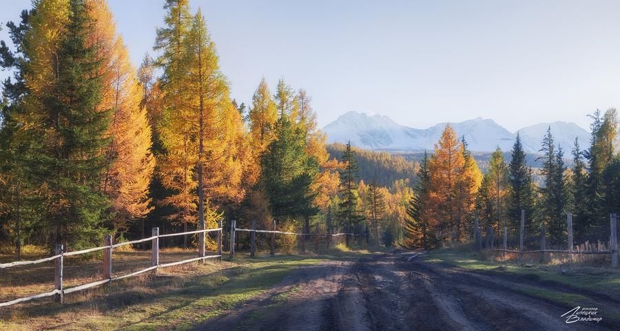 Автобус| Легенды и мифы Барнаула