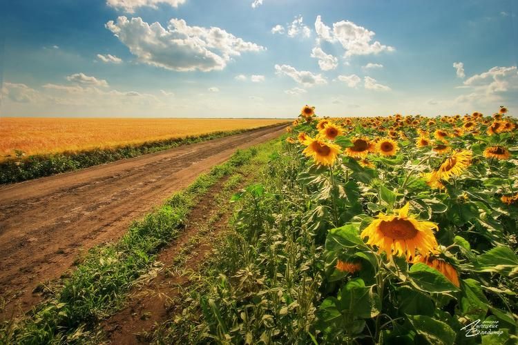 Где горы дышат, вода лечит, а кони ведут к чуду