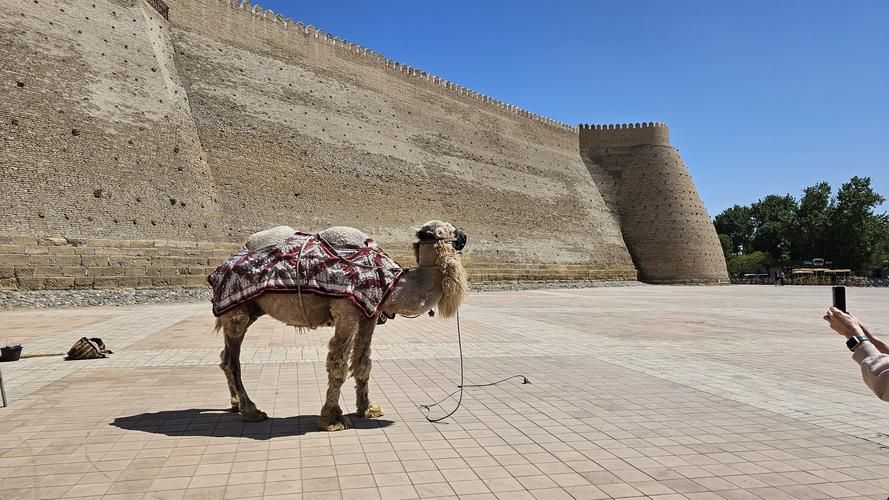 Новый год по-узбекски