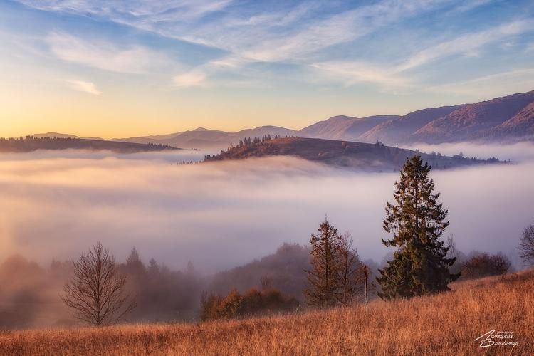 Алтайская энергия: Путешествие к сердцу природы