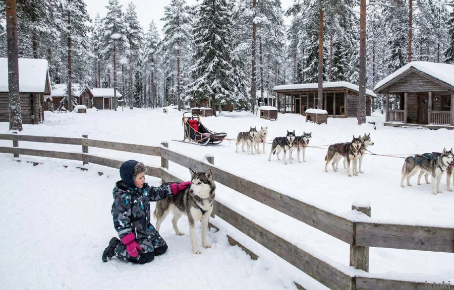 Автобус| Свет над мраморным каньоном: новогодняя симфония Рускеалы