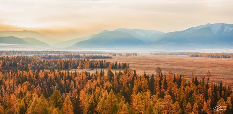 Алтай для любознательных (промо)