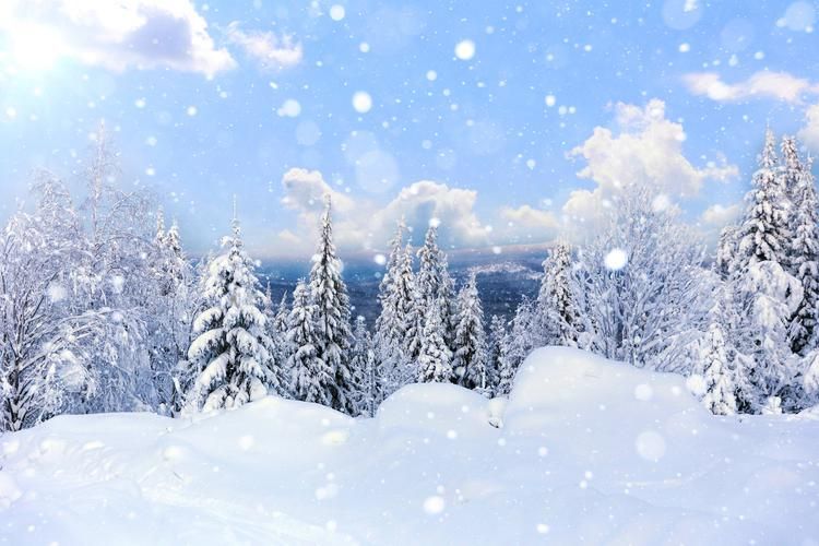 Новогоднее вдохновение в Лермонтовской усадьбе