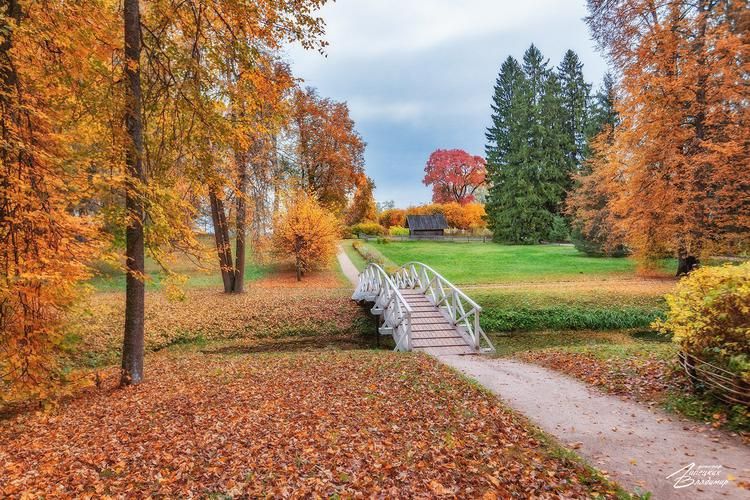 Горизонты Дальнего Востока