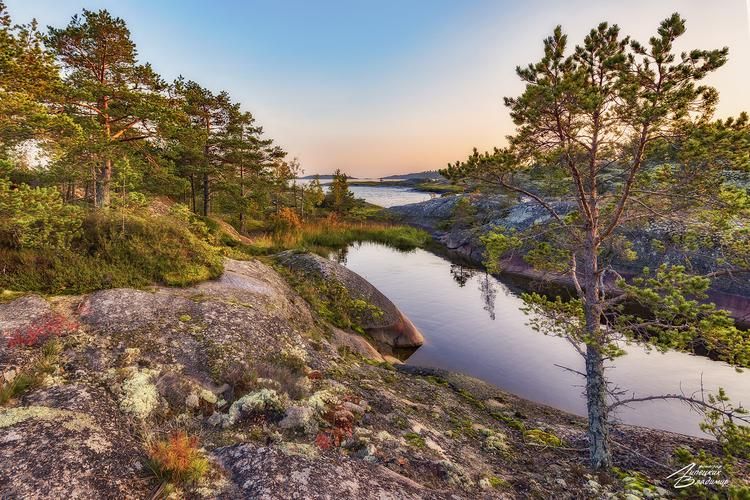 Северный путь в тумане