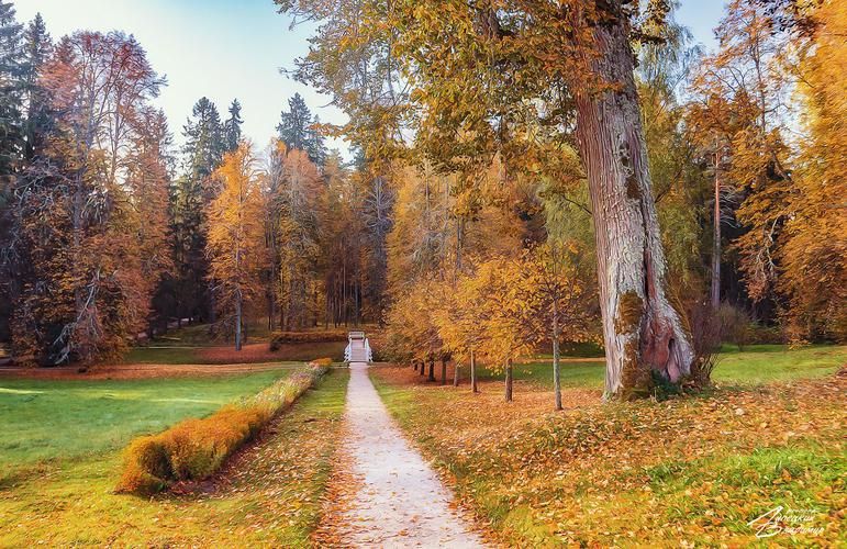 День народного единства в Лермонтовских краях (промо)