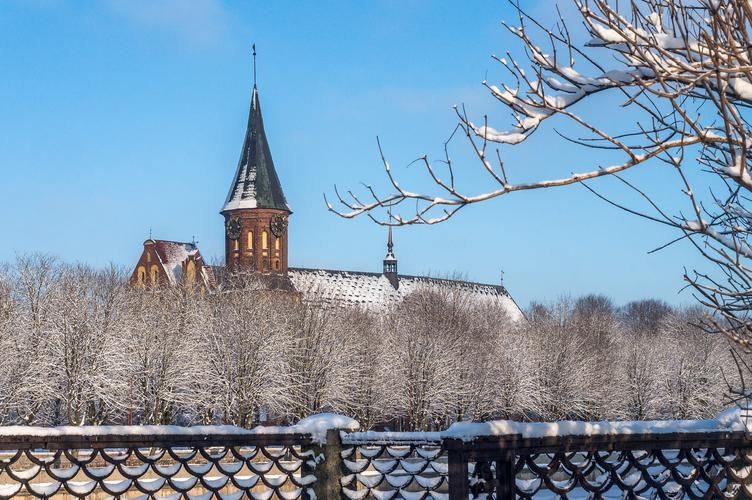 Зимняя магия Калининграда