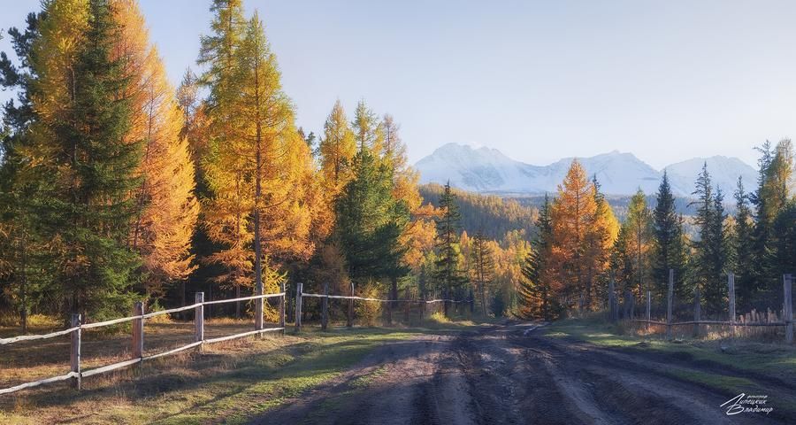 Алтайский тандем из Барнаула (промо)