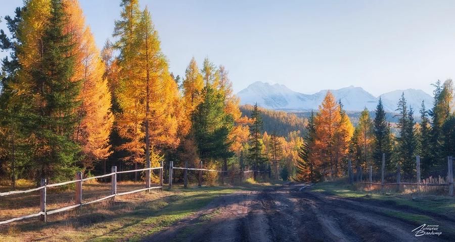 Алтайские просторы и тайны Телецкого озера