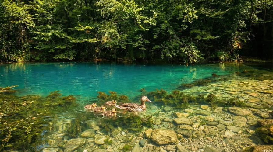 Мелодия Абхазии: путешествие сквозь пейзажи и легенды