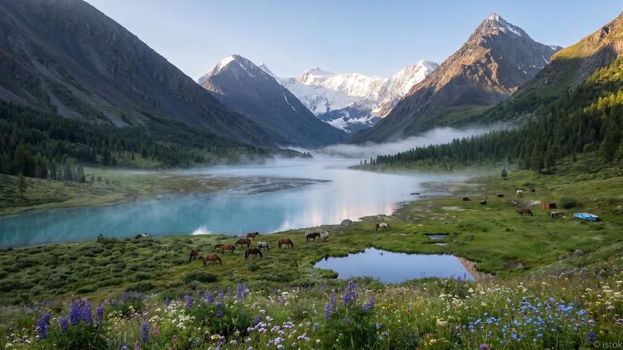 Белоснежные короны Алтая