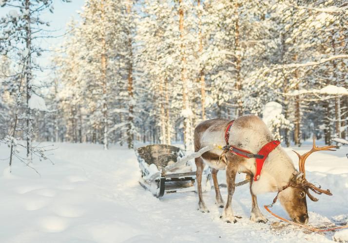 Жемчужина Карелии: волшебство природы