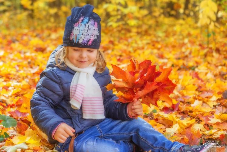 Где деревянный Томск встречает дикую Сибирь