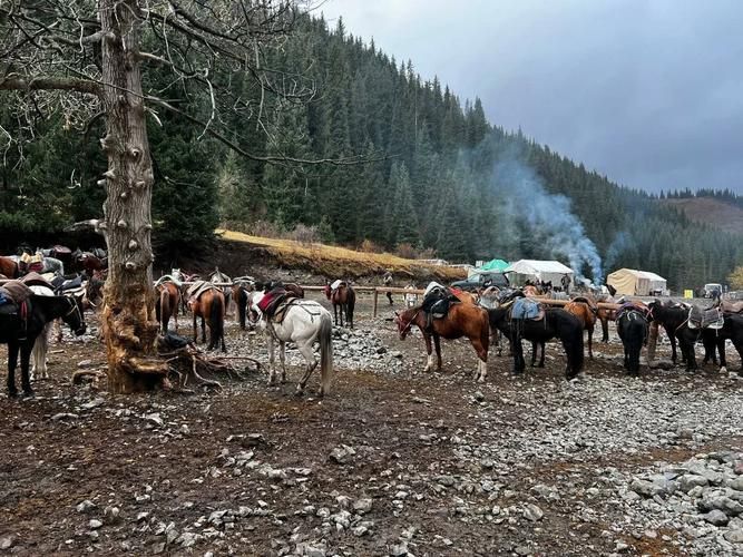 Киргизия: в краю заснеженных вершин и горных озёр