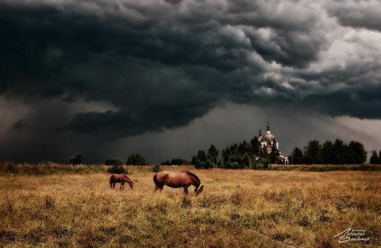 Нолинск: тур к озеру и лесу