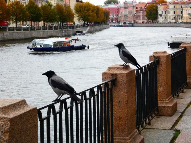 Шуйский мультиактив: катание на квадроциклах + рафтинг по реке Шуя, 3 дня / 2 ночи (промо)